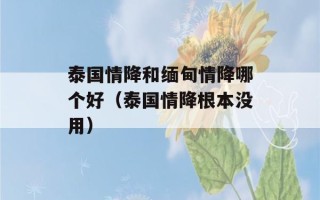 泰国情降和缅甸情降哪个好（泰国情降根本没用）