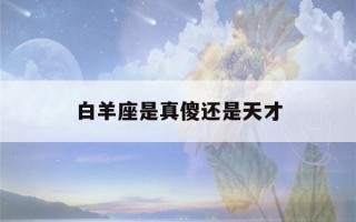 白羊座是真傻还是天才(白羊座最可怕的能力)