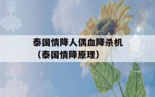 泰国情降人偶血降杀机（泰国情降原理）