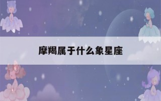 摩羯属于什么象星座(摩羯座属于什么动物)