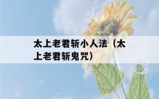 太上老君斩小人法（太上老君斩鬼咒）