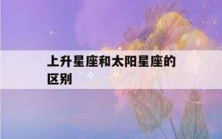 上升星座和太阳星座的区别(测测星座app下载)