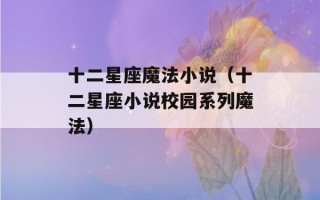 十二星座魔法小说（十二星座小说校园系列魔法）