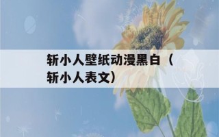 斩小人壁纸动漫黑白（斩小人表文）