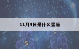 11月4日是什么星座(阳历11月4日是什么星座)