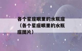 各个星座眼里的水瓶座（各个星座眼里的水瓶座图片）