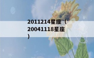 2011214星座（20041118星座）