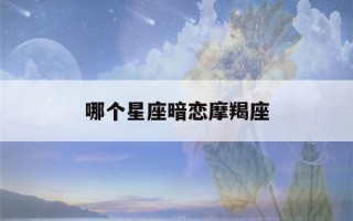 哪个星座暗恋摩羯座(哪个星座暗恋摩羯座男生最多)