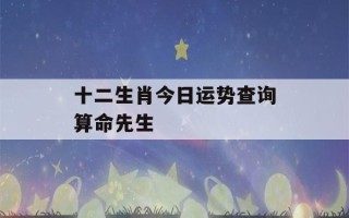 十二生肖今日运势查询算命先生(生肖运势2023年运程)