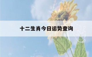 十二生肖今日运势查询(十二生肖今日运势查询非常运势网)