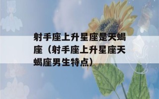 射手座上升星座是天蝎座（射手座上升星座天蝎座男生特点）