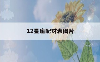 12星座配对表图片(12星座配对关系图)