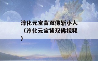 淳化元宝背双佛斩小人（淳化元宝背双佛视频）