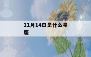 11月14日是什么星座