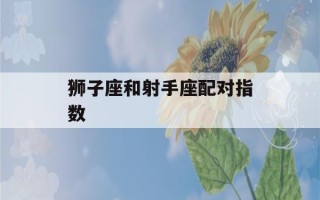 狮子座和射手座配对指数(狮子座和射手座配对指数表)