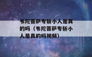 韦陀菩萨专斩小人是真的吗（韦陀菩萨专斩小人是真的吗视频）