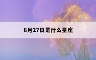 8月27日是什么星座()