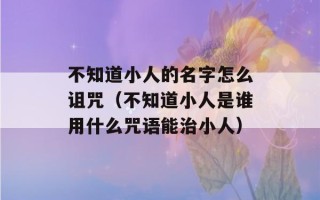 不知道小人的名字怎么诅咒（不知道小人是谁用什么咒语能治小人）