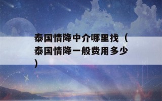 泰国情降中介哪里找（泰国情降一般费用多少）