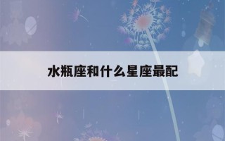 水瓶座和什么星座最配(水瓶座女和什么星座最配)