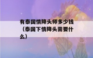 有泰国情降头师多少钱（泰国下情降头需要什么）