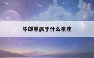 牛郎星属于什么星座(牛郎星属于什么星座的)