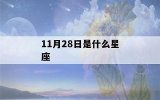 11月28日是什么星座(射手座)