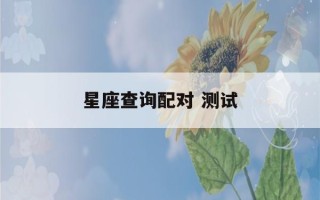 星座查询配对 测试