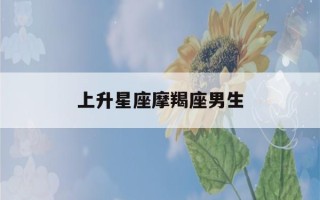 上升星座摩羯座男生(上升星座摩羯座男生长相)