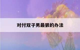 对付双子男最狠的办法(对付双子男最好的方法)