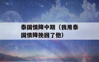 泰国情降中期（我用泰国情降挽回了他）