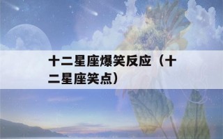 十二星座爆笑反应（十二星座笑点）