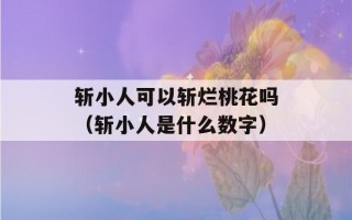 斩小人可以斩烂桃花吗（斩小人是什么数字）