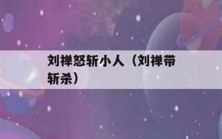 刘禅怒斩小人（刘禅带斩杀）