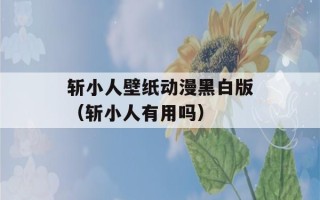 斩小人壁纸动漫黑白版（斩小人有用吗）