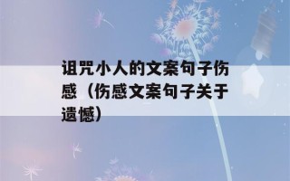 诅咒小人的文案句子伤感（伤感文案句子关于遗憾）