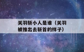 关羽斩小人是谁（关羽被推出去斩首的样子）