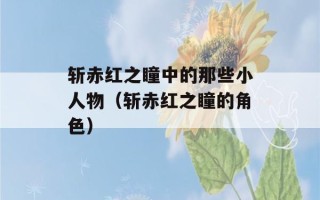 斩赤红之瞳中的那些小人物（斩赤红之瞳的角色）