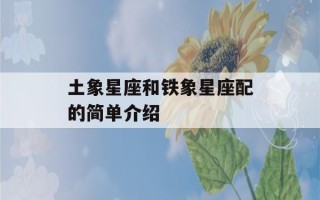 土象星座和铁象星座配的简单介绍