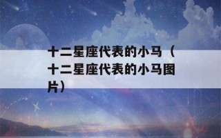 十二星座代表的小马（十二星座代表的小马图片）