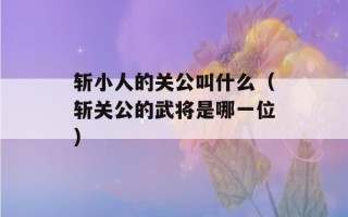 斩小人的关公叫什么（斩关公的武将是哪一位）