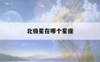 北极星在哪个星座(北极星在哪个星座中?A 人马星座B 天马星座C 小熊星座)