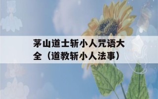 茅山道士斩小人咒语大全（道教斩小人法事）