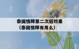 泰国情降第二次后效果（泰国情降有用么）