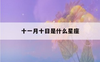 十一月十日是什么星座(十一月是什么星座)