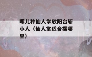 哪儿种仙人掌放阳台斩小人（仙人掌适合摆哪里）