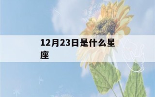 12月23日是什么星座(12月25日是什么星座)