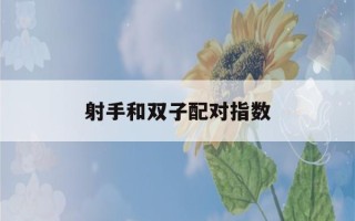 射手和双子配对指数(射手双子配对指数是多少)