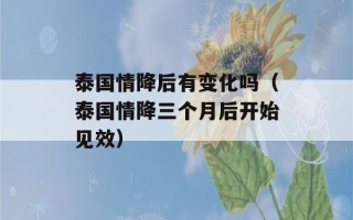 泰国情降后有变化吗（泰国情降三个月后开始见效）