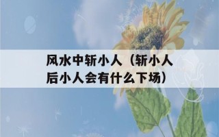 风水中斩小人（斩小人后小人会有什么下场）